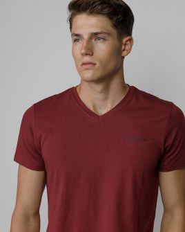 BORDEAUX MEN'S V-NECK SHORT SLEEVE T-SHIRT 1D25FW4041SS0205